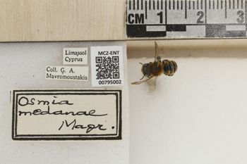 Media type: image;   Entomology 795002 Aspect: Labels